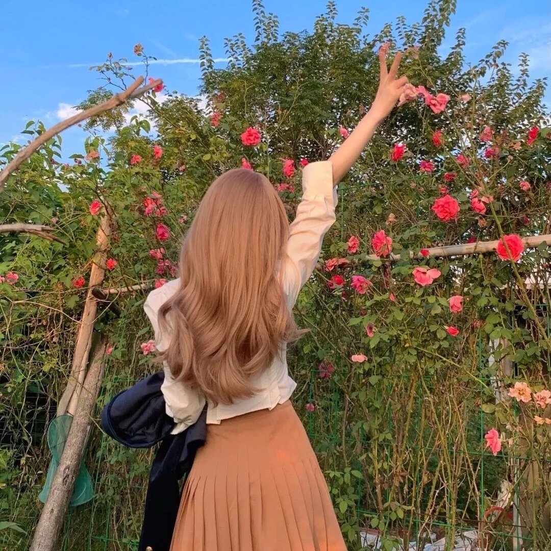 壳中少女 压缩
